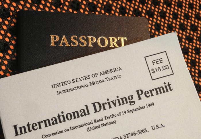 official travel permit